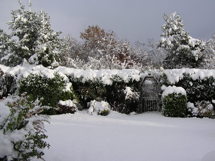 View of our back garden in winter